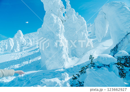 山形蔵王の美しい樹氷 123662927