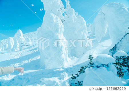 山形蔵王の美しい樹氷 123662929