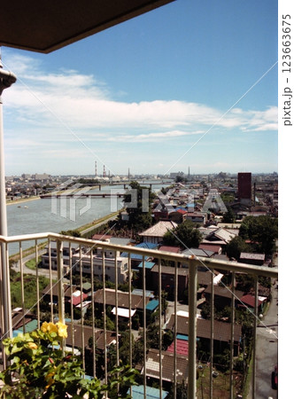 古写真 1981年 東京 足立区 中川沿いの住宅街のパノラマ 古写真 1981年 東京 足立区 中川沿いの住宅街のパノラマ 123663675