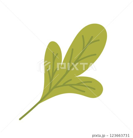 木の葉 葉 草の葉 123663731