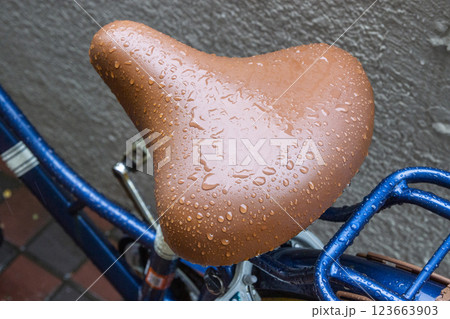 雨に濡れた自転車のサドル 雨に濡れた自転車のサドル 123663903