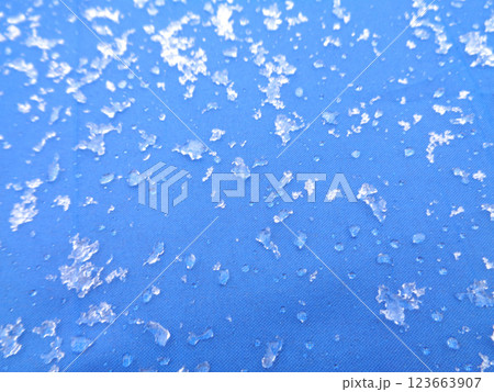 雪が積もった傘の表面 雪が積もった傘の表面 123663907