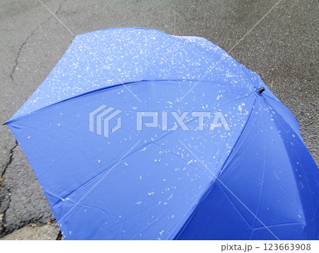 傘に積もった小雪 123663908