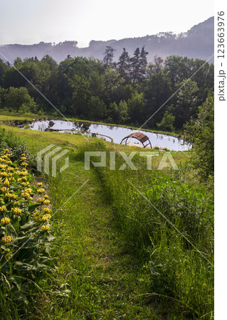 Pretty wooden pier at natural swimming pond or pool - NSP - purifying water without chemicals through biological filters and plants 123663976