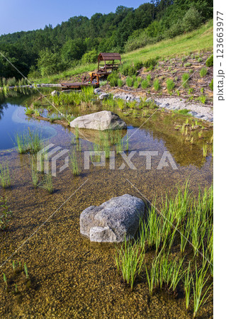 Pretty wooden pier at natural swimming pond or pool - NSP - purifying water without chemicals through biological filters and plants 123663977