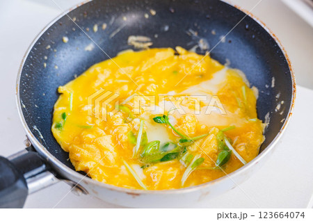 豆苗のだし巻き風玉子焼き作り 豆苗のだし巻き風玉子焼き作り 123664074