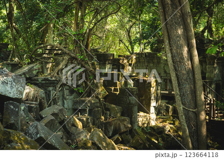 カンボジア ベンメリア遺跡 カンボジア ベンメリア遺跡 123664118
