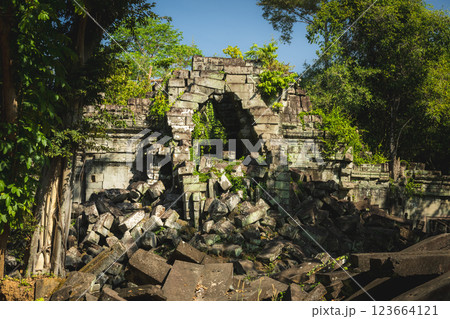 カンボジア　ベンメリア遺跡 123664121