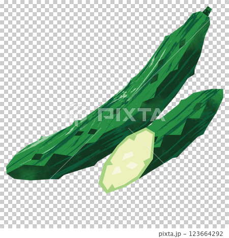 切り絵風のきゅうり 123664292