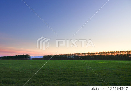 春の北海道十勝平野で日が暮れた後の牧草地と防風林の風景 春の北海道十勝平野で日が暮れた後の牧草地と防風林の風景 123664347