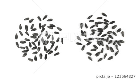 Sunflower seeds pile isolated, black oil sun flower grains group with shell, fresh edible oil seeds heap 123664827