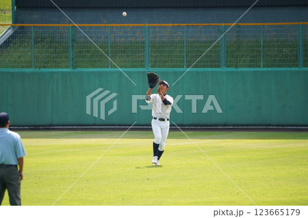 外野フライ 外野フライ 123665179