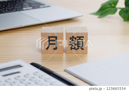 テーブルの上に月額と書かれたブロック テーブルの上に月額と書かれたブロック 123665554