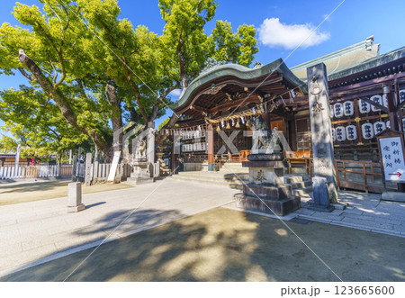 石切劔箭神社(石切神社)本殿 石切劔箭神社(石切神社)本殿 123665600