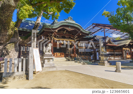 石切劔箭神社(石切神社)本殿 石切劔箭神社(石切神社)本殿 123665601