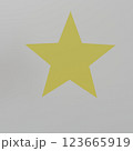 黄色に輝くスター 123665919