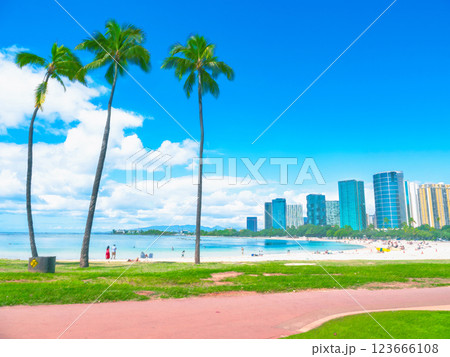 海・夏・ビーチイメージ ハワイ 海・夏・ビーチイメージ ハワイ 123666108