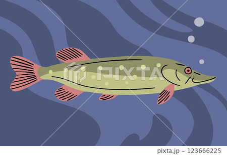Predatory fish pike underwate Predatory fish pike underwate 123666225