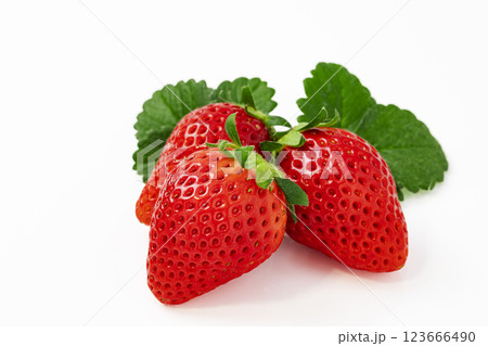 白バックのいちご 123666490