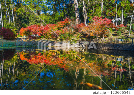 袋井市にある紅葉に彩られた可睡斎の放生池の風景(静岡県) 123666542