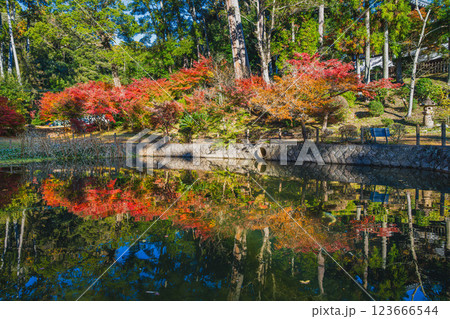 袋井市にある紅葉に彩られた可睡斎の放生池の風景(静岡県) 袋井市にある紅葉に彩られた可睡斎の放生池の風景(静岡県) 123666544