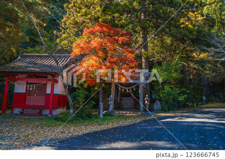 浜松市にある岩水寺の紅葉のある風景(静岡県) 浜松市にある岩水寺の紅葉のある風景(静岡県) 123666745