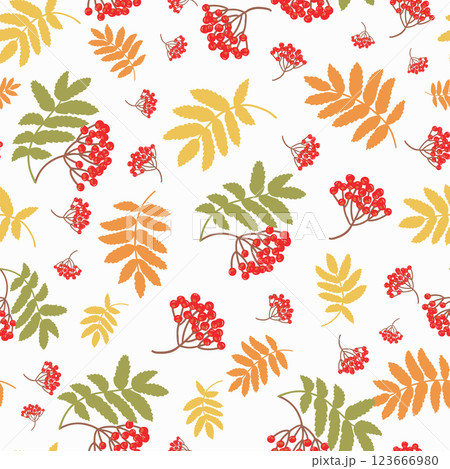 Colourful hand drawn rowan seamless pattern 123666980