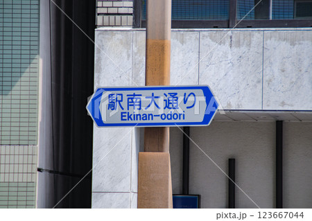 駅南大通り・通称道路名標示板／静岡県浜松市中央区砂山町 123667044