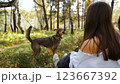 Young woman walking with a dog in an autumn forest 123667392