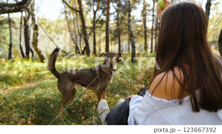 Young woman walking with a dog in an autumn forest Young woman walking with a dog in an autumn forest 123667392