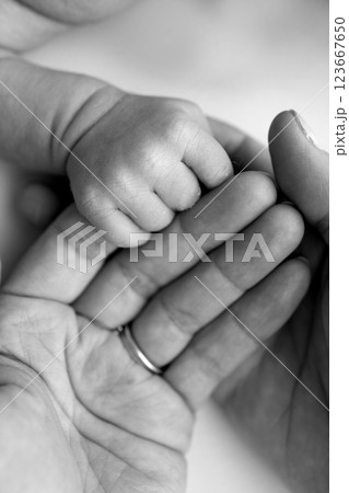 Close-up little hand of child and palm of mother and father. The newborn baby has a firm grip on the parent's finger after birth. A newborn holds on to mom's, dad's finger. Black and white photo. Close-up little hand of child and palm of mother and father. The newborn baby has a firm grip on the parent's finger after birth. A newborn holds on to mom's, dad's finger. Black and white photo. 123667650