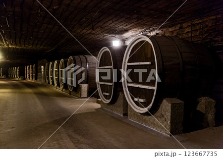 Old large barrels of wine 123667735