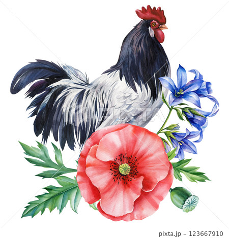 watercolor black and white rooster with red poppy, blue flowers green leaves isolated background nature illustration 123667910