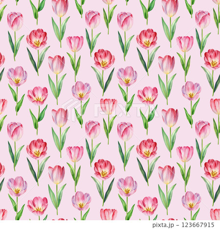 Seamless pattern blooming pink tulips watercolor illustration flowers for textile, packaging wallpaper spring time decor Seamless pattern blooming pink tulips watercolor illustration flowers for textile, packaging wallpaper spring time decor 123667915