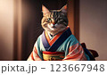 着物を着てポーズをとる日本猫 123667948