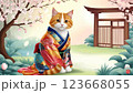 着物を着てポーズをとる日本猫 123668055