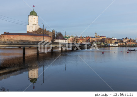 Cityscape with Vyborg castle on a winter day 123668113