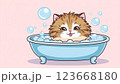 お風呂に入って遊ぶ可愛い猫 123668180