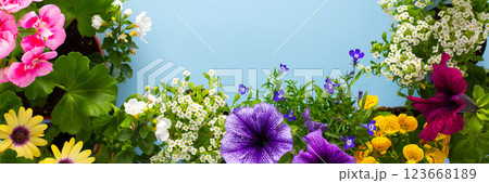 Spring decoration of a home balcony 123668189