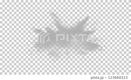 White gray dust powder explosion transparent PNG, isolated background. Dynamic blast eruption, monochrome color effect 123668323