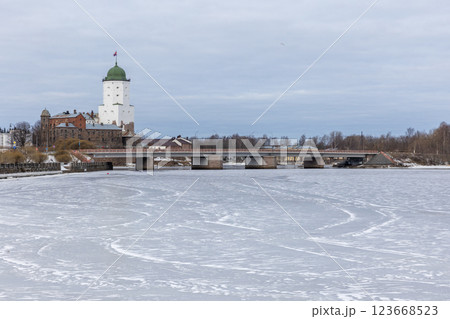 Cityscape with Vyborg castle and Fortress Bridge Cityscape with Vyborg castle and Fortress Bridge 123668523