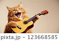 ギターを弾き語りする茶トラ猫 123668585