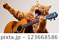 ギターを弾き語りする茶トラ猫 123668586