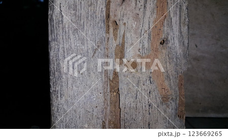 The texture of wood that has been eaten by termites. The texture of wood that has been eaten by termites. 123669265