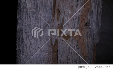 The texture of wood that has been eaten by termites. 123669267