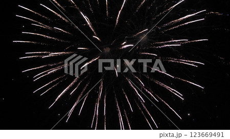 Fireworks bursts paint dark evening sky with vivid colors on holiday party. Exploding display of fireworks with flying lights in dark sky. Sparkling canopy at festive fireworks show at night 123669491