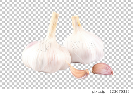 Garlic bulb clove spice PNG, transparent isolated background. Spices, vibrant vivid colorful cooking seasoning ingredient, food flavour graphic element presentation 123670333