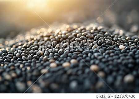 Close-up of chia seeds with water absorption creating texture and depth variations 123670430
