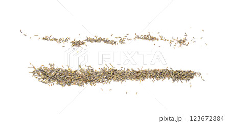 Dry lavender flowers line isolated, scattered lavandula perfume buds, petals, fragrance lilac 123672884