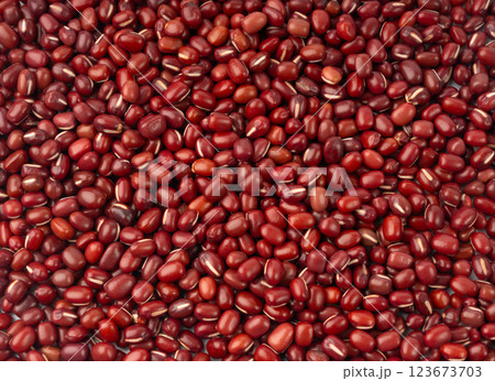 Red adzuki beans texture background, raw aduki bean pattern, Vigna angularis legume seeds Red adzuki beans texture background, raw aduki bean pattern, Vigna angularis legume seeds 123673703